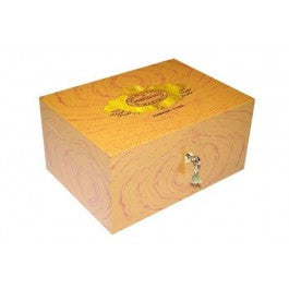 Partagas Classic Humidore